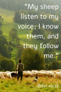 The Shepherd's Sheep ~ "My sheep listen to my voice; I know them, and they follow me." John 10:27
