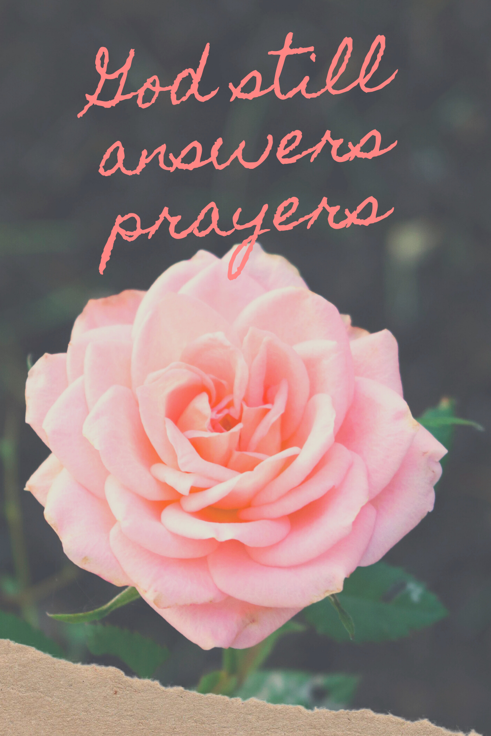 God still answers prayers - The Shepherd's Sheep