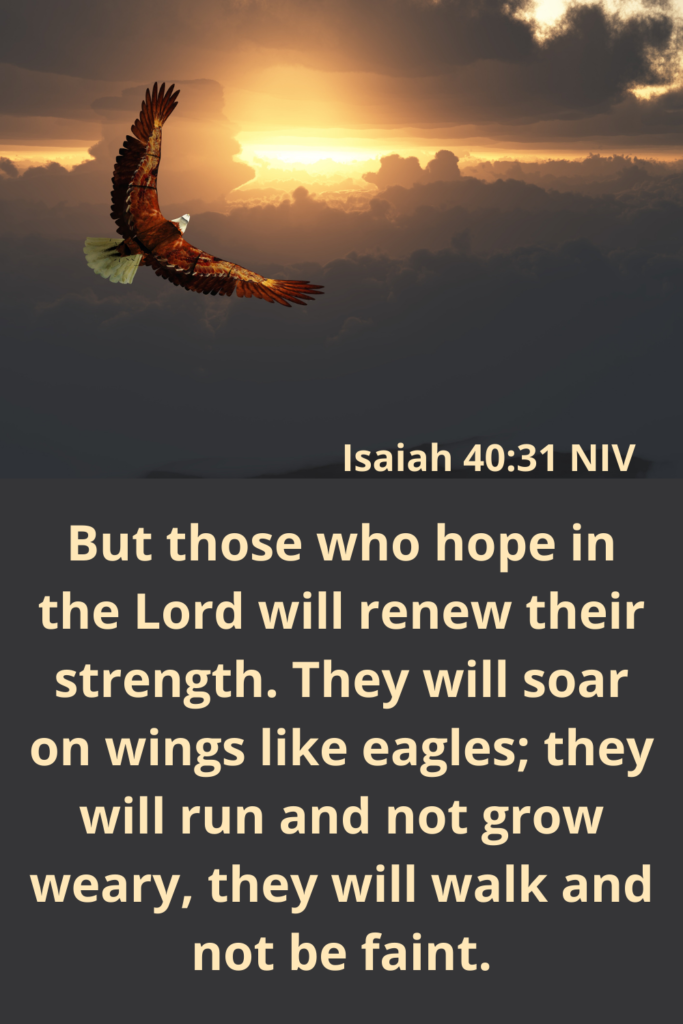 bible verse about strength and hope