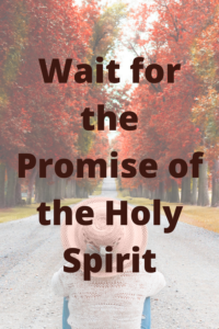 Wait for the Promise of the Holy Spirit