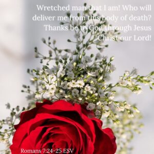 Embracing God's Unconditional Love. Wretched Man I am! Who will deliver me from this body of death? Thanks be to God through Jesus Christ our Lord! Romans 7:24-25 ESV