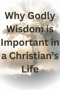 Godly Wisdom is Important in a Christian's Life
