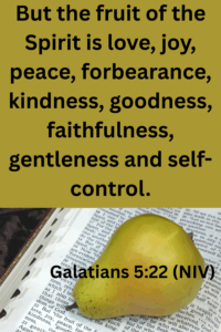 Reclaim Your Joy in the Lord, fruit of the Spirit, Galatians 5:22